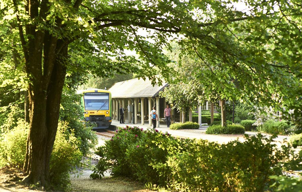 Rehwinkel Hotel Bodenmais Exterior foto